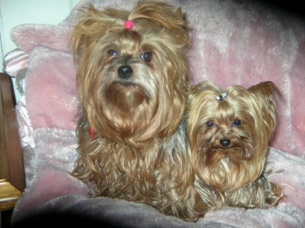 Maggie & Bailey
Double Trouble Team