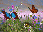 butterflybackgroundf1e23 51564