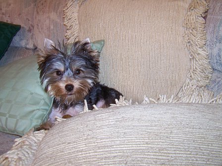 1st baby picture