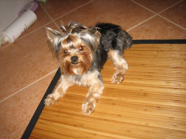 she got a really bad hair cut ;)